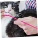 ORFOFE Set 8 of Care Random Headed Safe Dual Breeds All Durable Finger Dog and Cat Color - Buy Online on GoSupps.com