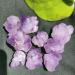 Natural Amethyst Raw Quartz Small ClusterReiki Stone Crystal Point Specimen Home Decor Raw Crystals NaturalReiki Decoration (Color : 1pc Weight 3-8g Size : 200g) 200g 1pc Weight 3-8g - Buy Online on GoSupps.com