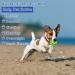 Indestructible Loud Dog Balls | Interactive Dog Toys | Divinggoe Green 3.46 Inch - Buy Online on GoSupps.com