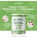Four Sigmatic Unflavored Plant-Based Protein with Superfoods - 16.7 oz (480g) - Buy Online on GoSupps.com