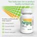 Fergon High Potency Iron Supplement Tablets 100 ea (Pack of 3) - Buy Online on GoSupps.com