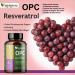 OPC Grape Seed Extract & Resveratrol - 95% High-Dose Antioxidant Non-GMO Vegan 240 Capsules | Premium Quality Supplement - Buy Online on GoSupps.com
