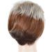 Shop CAIHUASHOPING Short Gradient Pony Wig - Stylish White & Brown 4-Inch Hair Wig for Women - Buy Online on GoSupps.com