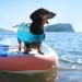 Cit toile Dog Swimming Jar - Life Jacket for Small Medium & Large Dogs with Mermaid Tail | Glau Mermaid-Blue Dog Lifeguard Vest - Buy Online on GoSupps.com