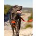 Joytale Large Dog Harness - Reflective Soft Padded Adjustable & Breathable with Control Handle - Ideal for Large Dogs Orange (1 Pack) - Buy Online on GoSupps.com