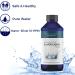 Optivida Health Colloidal Nano Silver Liquid 10PPM 16 Fl Oz - Immune Support & Healthy Immune System - All Natural SOL Liquid Solution - 1 Pack - Buy Online on GoSupps.com