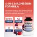 Magnesium Complex Supplement, 4 in 1 Maximized Absorption Chelated Magnesium Glycinate Malate, Taurate & Citrate, Non-Buffered, Bone, Heart, Nerve & Immune Support, 120 Vegan Capsules 120 Count (Pack of 1) - Buy Online on GoSupps.com
