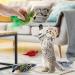 Dorakitten Interactive Cat Toys Set - 4 Cute Plush Bird Form Toys with Sounds & Springs - Perfect for Cats - International Shipping Available! - Buy Online on GoSupps.com