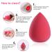 5 Pcs Latex-Free Makeup Sponge Set with Holder - Wet & Dry Beauty Blenders for Foundation & Powder - Buy Online on GoSupps.com
