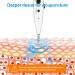 Rhorawill Electric Acupuncture Pencil - Rechargeable Pain Relief Laser Acupuncture Pen with 2 Massage Heads for Effective Acupoint Therapy - Buy Online on GoSupps.com