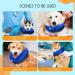 Nobleza Inflatable Protective Collar for Dogs & Cats | Adjustable Recovery Ruff for Surgery & Injuries | Comfortable Velcro Fastener (Blue M - 10-13 inch) - Buy Online on GoSupps.com