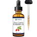 Zatural ROSA CANINA - Organic Rosehip Oil for Face Nails Hair and Skin - Cold Pressed Rose Hip Oil (2 oz) 2 Fl Oz (Pack of 1)