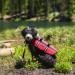 ZippyPaws Adventure Life Jacket (XXS) - XX-Small Size for Dogs - Buy Online on GoSupps.com