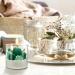 Tondiamo Succulent Cactus Candles | Scented Decorative Votive Candles for Home Weddings & Gifts | 3.15 inch Terrarium Plant Candles - Buy Online on GoSupps.com