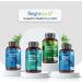 Choline Supplement 714mg - 180 Vegan Capsules - High Strength Liver Support for 3 Months - Choline Bitartrate Alternative with Superior Absorption - Buy Online on GoSupps.com