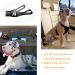 Dog Seat Belt for Car Dog Seatbelt with Enhanced Carabiner Adjustable Dog Car Harness with Anti Shock Buffer (Pro) 1 Count (Pack of 1) - Buy Online on GoSupps.com