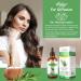 Rosemary Oil for Hair Growth & Skin Care -120ml 100% Pure Rosemary Essential Oil for Eyebrow and Eyelash Nourishes The Scalp Stimulates Hair Growth for Men Women - Buy Online on GoSupps.com