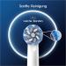 Oral-B Sensitive Clean Electric Toothbrush Brush Heads - 10 X-Bristles Gentle Tooth Cleaning Compatible with Mailbox Packaging | Made in Germany - Buy Online on GoSupps.com