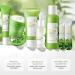 Shop Green Tea Skin Care Set - Complete Women's Routine | Toner Serum Creams & Masks | Korean Beauty Gift Set - Buy Online on GoSupps.com