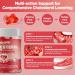 HOLLEGEND 12-In-1 Cholesterol Supplements Gummies 1500mg Plant Sterols for Cholesterol Health Plus Citrus Bergamot CoQ10 & Vitamins for Heart Health Vegan Sugar Free Mixed Berry Flavor 60 Chews - Buy Online on GoSupps.com