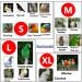 2 Pack Pet Bird Tuxedo Flight Suits for Special Occasions - Waterproof Diaper Clothes for Macaw, African Budgies, Parakeet, Fischeri, Cockatiel - Buy Online on GoSupps.com