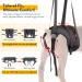 PZRLit Dog Lift Harness - Adjustable Mobility Aid Sling for Large Dogs' Hind Legs Perfect for Elderly and Disabled Dogs - Hip & Back Leg Support Vest for Walking Assistance Large - Buy Online on GoSupps.com