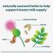 Upspring Milkflow Breastfeeding Drink Mix- Blackberry Lime Flavor | Lactation Supplement with Moringa & Blessed Thistle | Promotes Healthy Milk Supply | 16 Drink Mixes - Buy Online on GoSupps.com