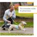 Ruffwear Hi & Light Dog Harness - No Pull Adjustable Lightweight for Small to XL Dogs - Sage Green (XXXS 23-33cm) - Ideal for International Shipping - Buy Online on GoSupps.com