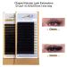 LASHVIEW Eyelash Extension Kit with Mannequin Head - Professional Training Kit for Beginners - Buy Online on GoSupps.com
