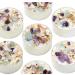 Lavender Chamomile Candle Set of 6 | Calming Energy & Aromatherapy | Crystal & Herb Infused | New Moon Beginnings - Buy Online on GoSupps.com