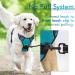 Rabbitgoo Medium Dog Harness - No Pull Adjustable Control Harness for Large Dogs Breathable & Safe Blue-Green (1 Pack) - Buy Online on GoSupps.com