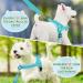 Shop Eyein No-Pull Dog Harness with Leash & Padded Dishes - Adjustable & Reflective for Puppies Small & Large Dogs Cats - Blue-Green Size S - Buy Online on GoSupps.com