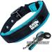 Black Rhino Comfort Collar | Super Soft Neoprene Dog Collar for All Breeds | Adjustable Reflective & Weatherproof - Large (Sports Blue/Gray) - Buy Online on GoSupps.com