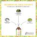 Vegan Vitamin D3 K2 Drops for Kids - 300 Days Supply 500 IU from Lichen & 25 g K - Boost Immunity & Health - Buy Online on GoSupps.com