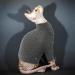 Buy Pumyporeity Sphynx Hairless Cat Cotton Clothes | Cute Turtleneck Sweater | Breathable XL T-Shirt & Vest for Kittens - Soft Clothing in Black - Buy Online on GoSupps.com