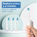 Milos Electric Toothbrush Heads - 16 Pack | Professional Replacement Heads for Oral-B Toothbrushes - Buy Online on GoSupps.com