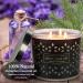 Scented 3-Wick Lavender Aromatherapy Candle | 125 Hours | 14.5oz Soy Wax | Stress Relief & Relaxation | Perfect for Mother's Day & Birthday Gifts | Black Lavender - Buy Online on GoSupps.com