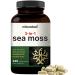 Irish Sea Moss Capsules 3,000mg Per Serving 240 Veggie Pills | Made with Organic Raw Powder Plus Bladderwrack & Burdock Root Sea Vegetable Complex Immune & Thyroid Superfood Support Non-GMO