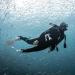 Scubapro Seawing Nova Bungee Fin Straps - Black (Medium, Pair) | Dive Essentials - Buy Online on GoSupps.com