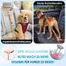 Slowton 2-in-1 Dog Car Belt | Adjustable Headrest Retention Bucket & Reflective Rubber Band | Universal Buckle - B.Orange (2PCs) - Buy Online on GoSupps.com