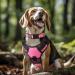 Joytale Reflective Dog Collar for Large Dogs - XL Pink (Pack of 1) - Durable Stylish & Safe - Buy Online on GoSupps.com
