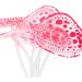 Buy VOCOSTE Pink Silicone Glowing Aquarium Coral with Suction Cup - Vibrant Marine Decor for Fish Tanks | International Shipping Available - Buy Online on GoSupps.com