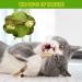 BAWAN Catnip & Silvervine Toys for Cats | Interactive Teething Chew Toys for Indoor Cats | Dental Toy for Aggressive Chewers | 3PCS - Buy Online on GoSupps.com
