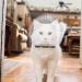 Clarful Breathable Cat Muzzle - Transparent Adjustable Anti-Bite Hood for Fur Care & Protection - Buy Online on GoSupps.com