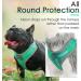Thinkpet No-Pull Dog Harness & Leash Set - Breathable Adjustable Safe Control for Small Medium & Large Dogs - Reflective Padded Green L - Buy Online on GoSupps.com