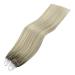 Buy Youngsee Microring Extensions - Real Hair Ombre 35cm | Micro Loop Extensions 1g/s | Ashblond & Platinum Blonde | 50g | Perfect for Women - Buy Online on GoSupps.com