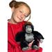 Deluxe Paws Eco-Friendly 100% Recycled Plush Gorilla Toy - Premium Polyester Stuffed Animal for Dogs | International Shipping Available - Buy Online on GoSupps.com