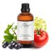 JCLOUD Tomato Leaves Hotel Diffuser Oil Galbanum Tomato & Patchouli - Hotel Essential Oil Luxury Long Lasting Aromatherapy Fragrance in Glass Bottle 100mL