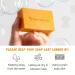 Organic Citrus Lavender Soap Bar | Energizing & Hydrating | For All Skin Types | Vegan & Cruelty-Free | 4 oz - Buy Online on GoSupps.com