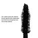 Exa Beauty Natural Ten18 Lash Amplifying Mascara - Cruelty-Free Clean Beauty | Black (0.3 fl oz | 8.9 ml) - Buy Online on GoSupps.com